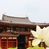 平等院蓮