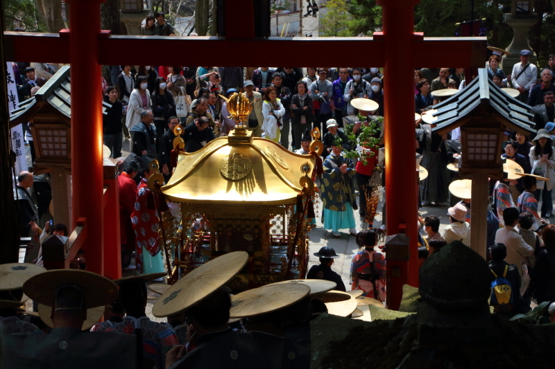 鳥居と神輿