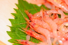 桜海老