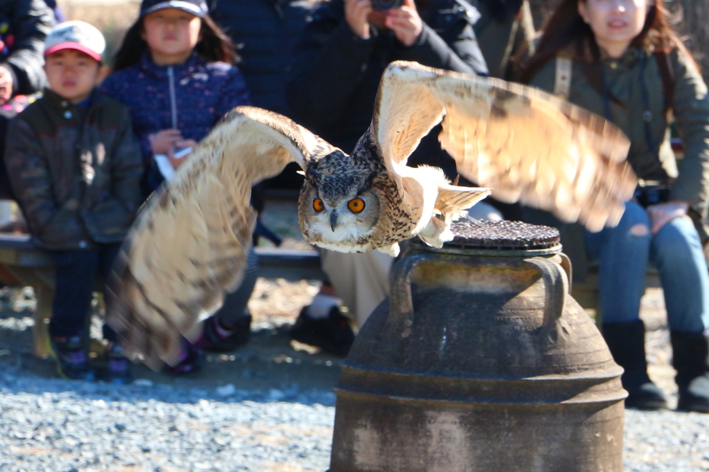 「あれ」を求め