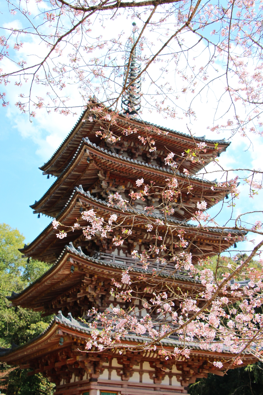 醍醐寺五重塔