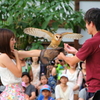 ふれあい体験中