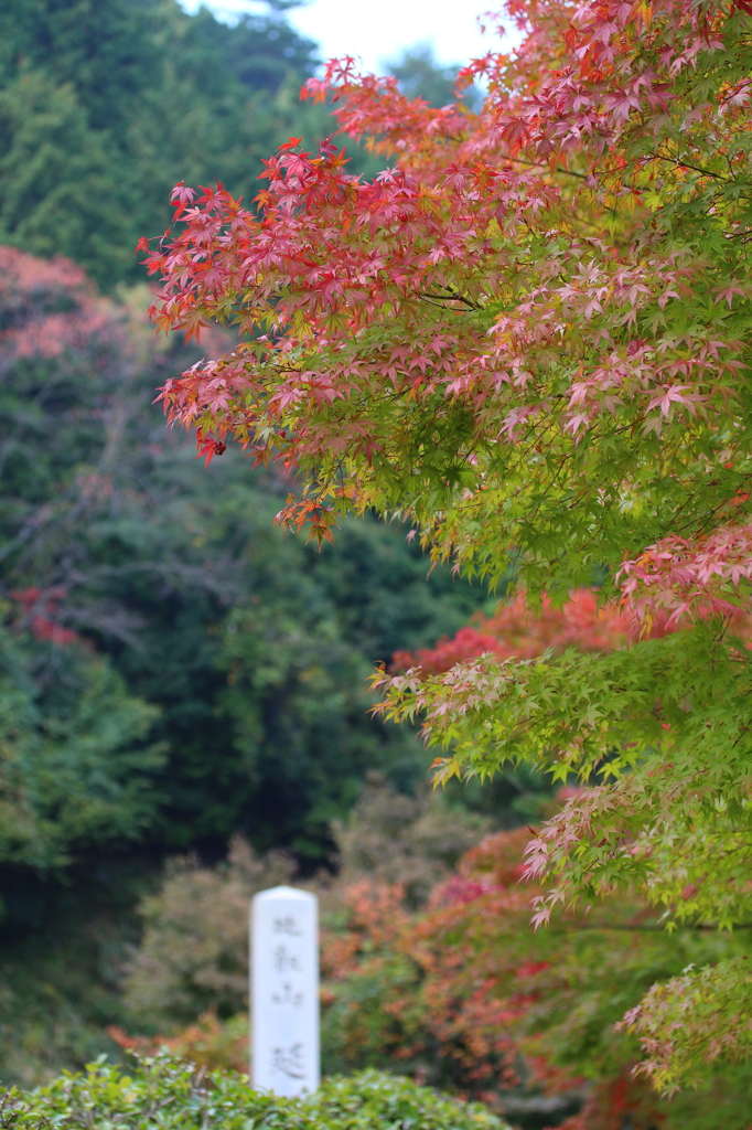 比叡山