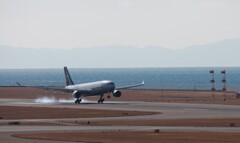 SKY TEAM (KOREAN AIR)