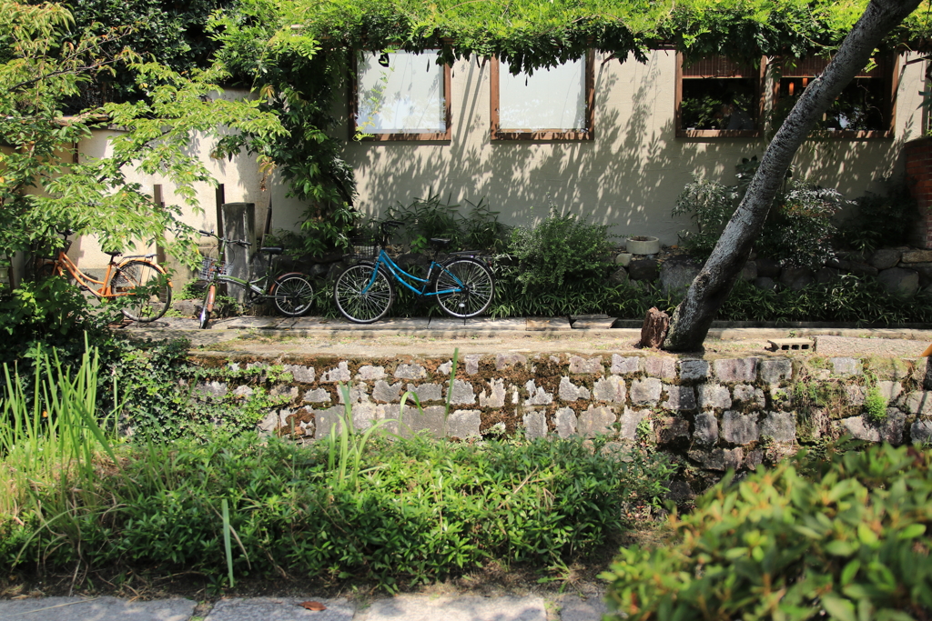 青い自転車