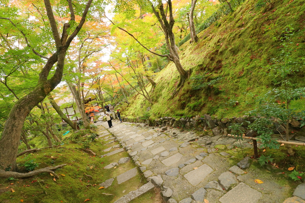 slope