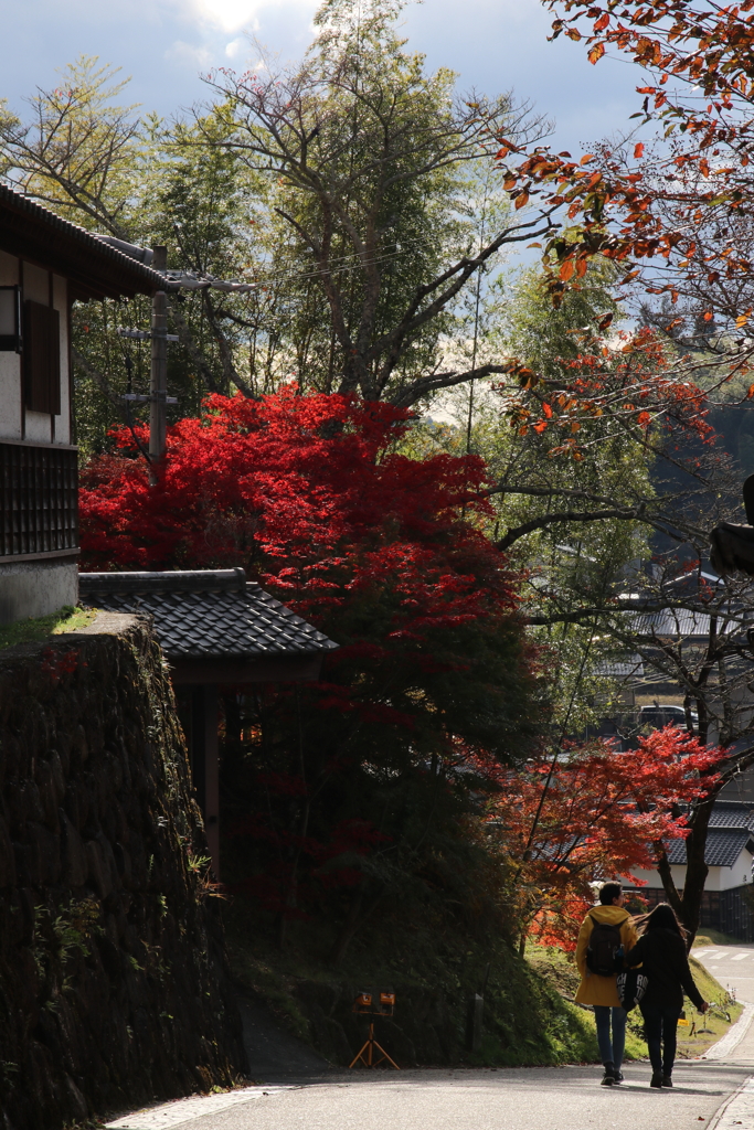 秋の坂道