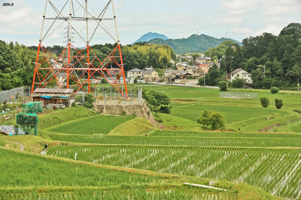田舎の方大好きだ。