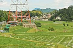 田舎の方大好きだ。