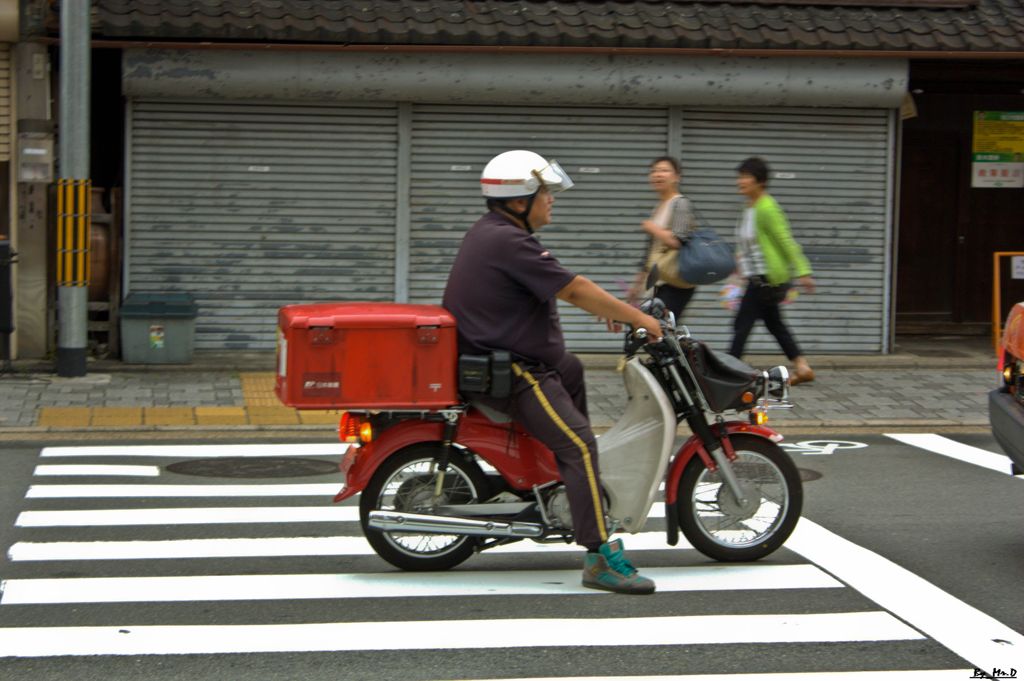このお腹偉いな～