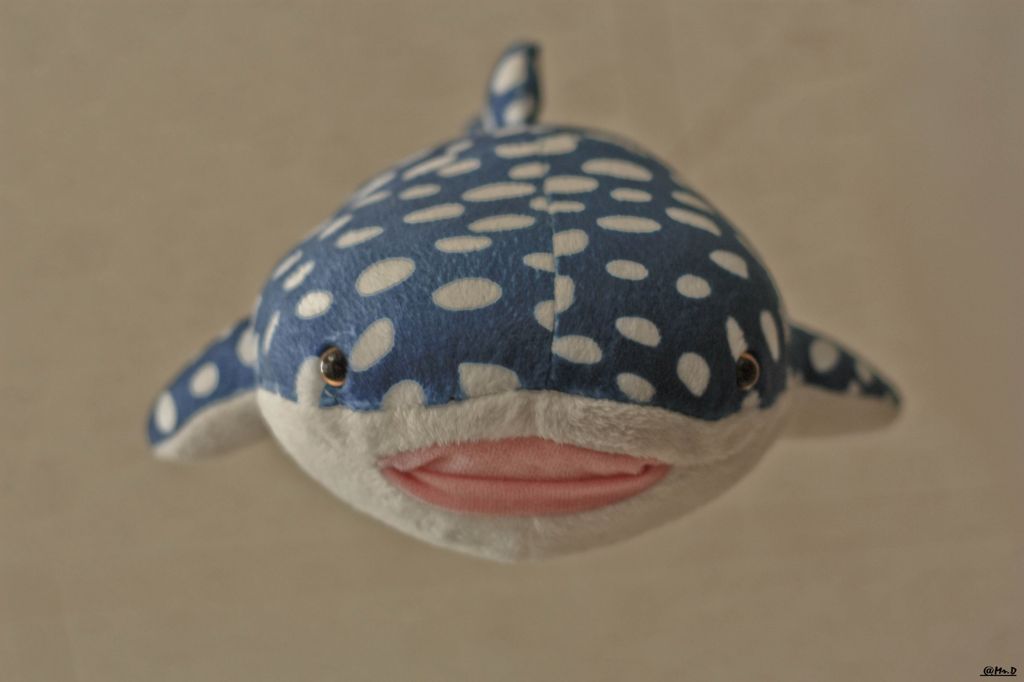 ちゃんと見てたね～