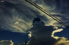 隠れたのは太陽のような希望だった