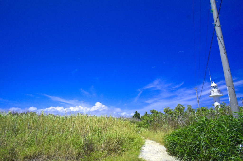 青い空・・・白い雲・・・