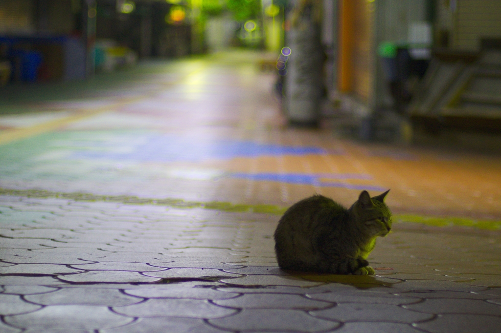 商店街の住人