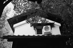 秋　京都