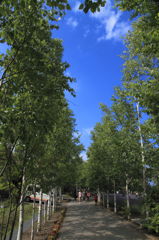 nakafuranoIMG_0635