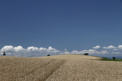 bieiIMG_0611