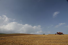 bieiIMG_0658