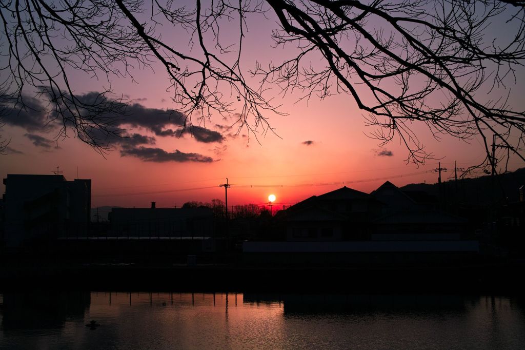 通勤帰りの夕焼け