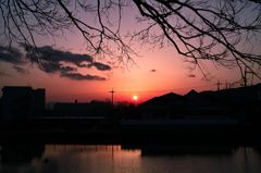 通勤帰りの夕焼け