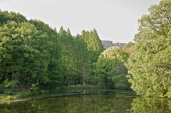 SDIM0146