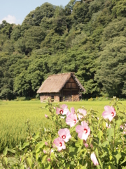 白川郷①