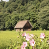 白川郷①