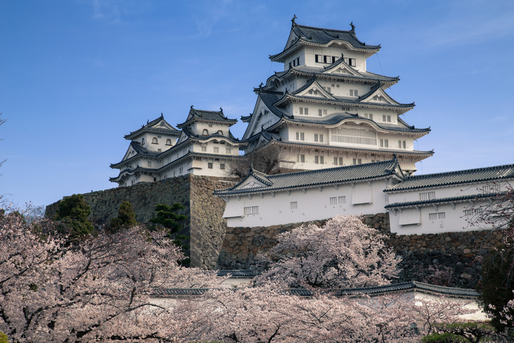 桜白鷺城