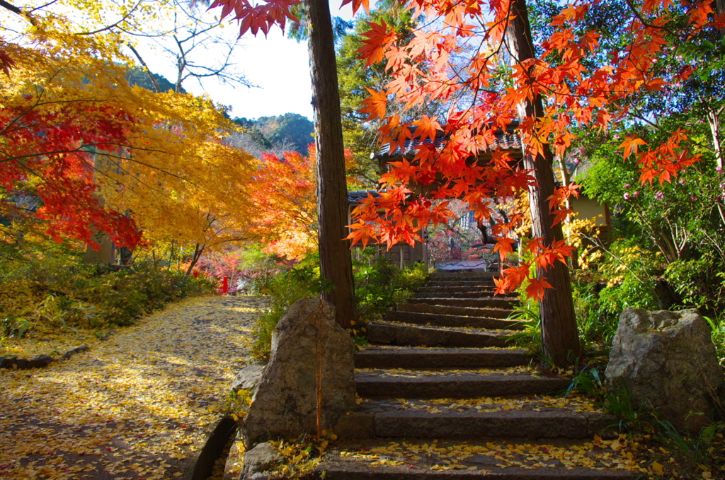 亀岡神蔵寺