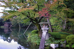 兼六園　徽軫灯籠と紅葉3