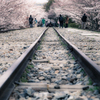 2019桜　京都