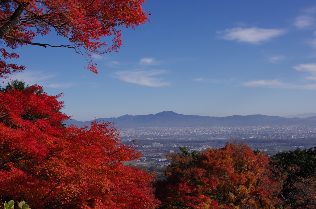 善峯寺2