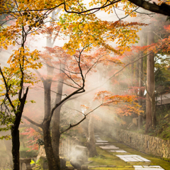 煙る苗秀寺