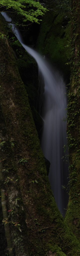 木陰の滝