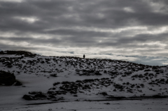 The Wind
