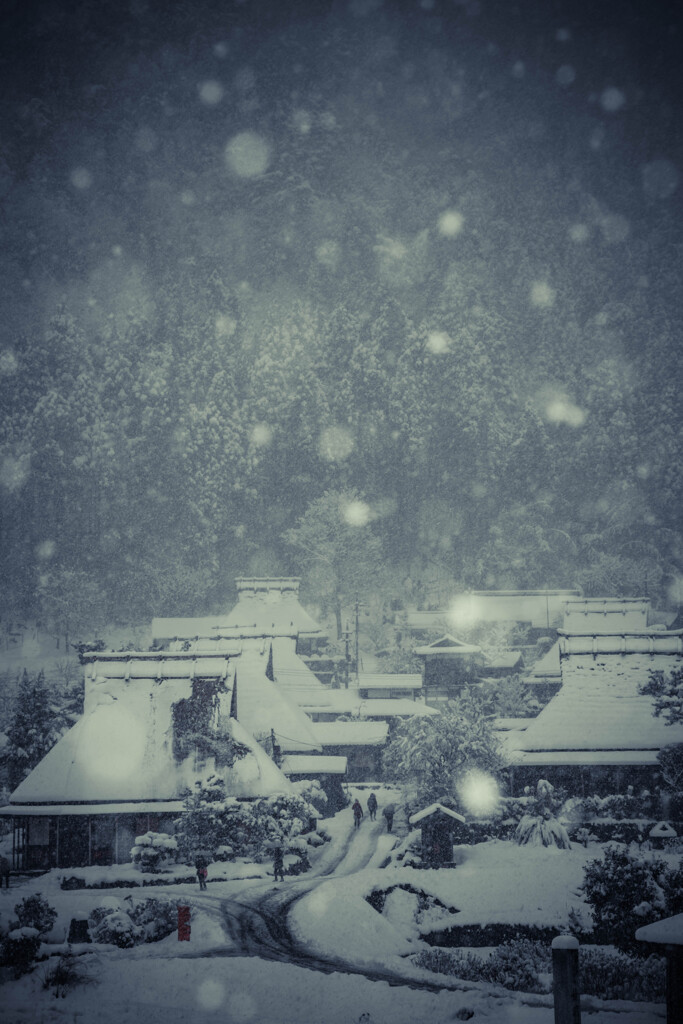 雪が降る