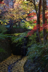 亀岡神蔵寺2