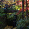 亀岡神蔵寺2