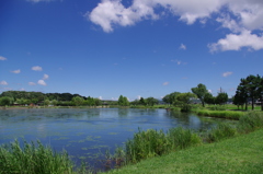 暑平池公園