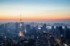 Tokyo Skyline At Dawn