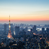 Tokyo Skyline At Dawn
