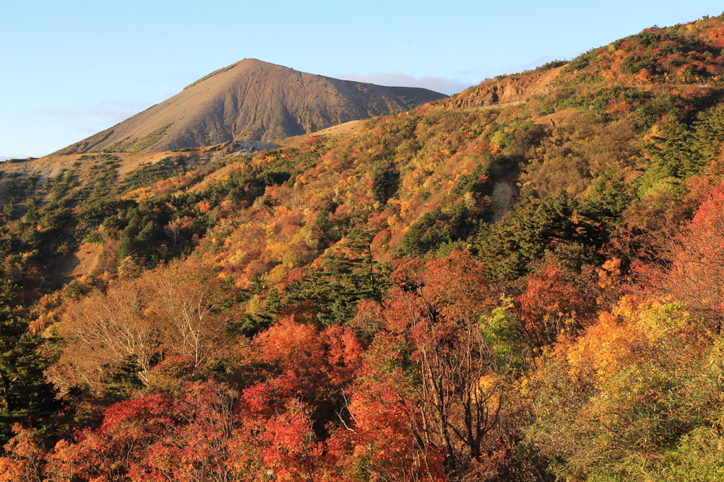 天狗の庭