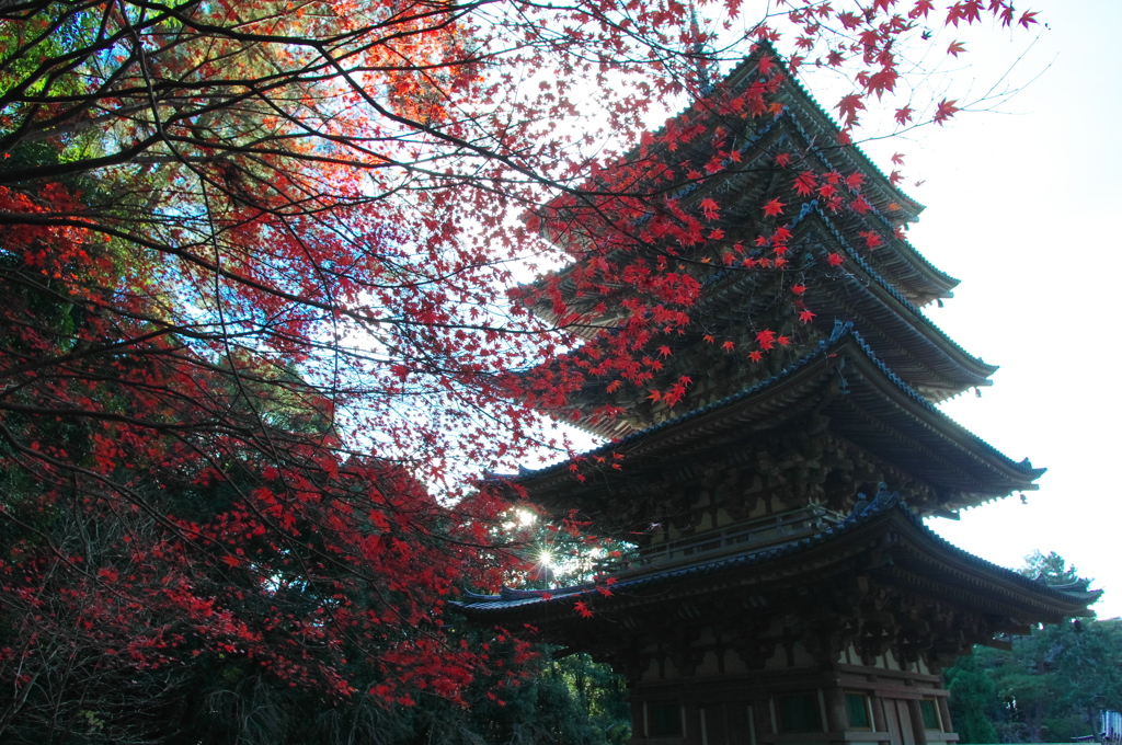 醍醐寺五重塔