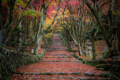 雨の紅参道