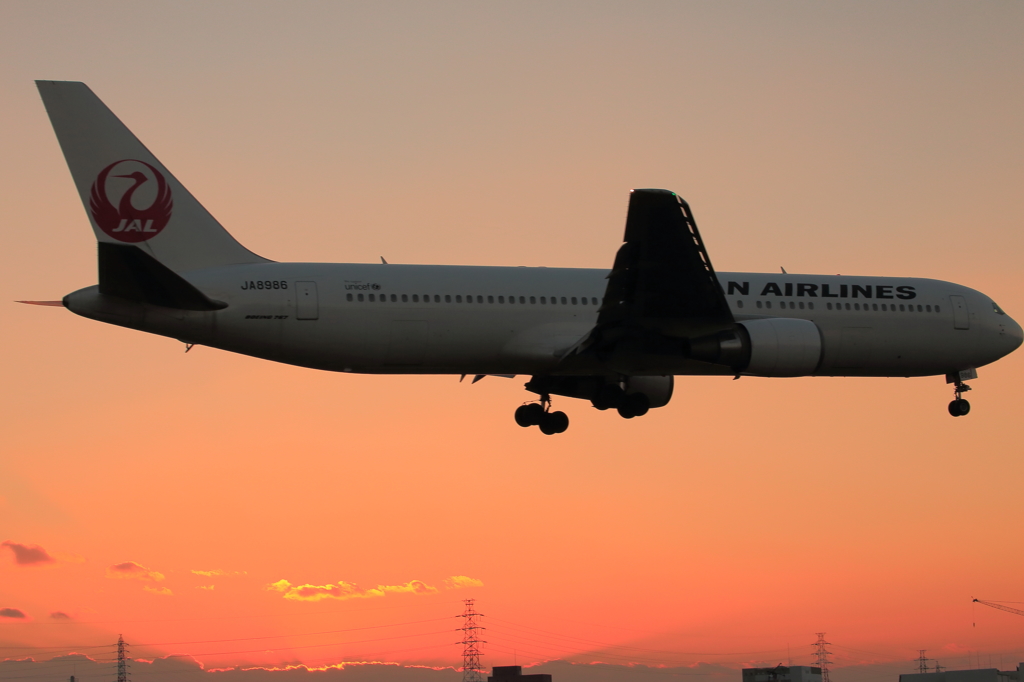 夕鶴