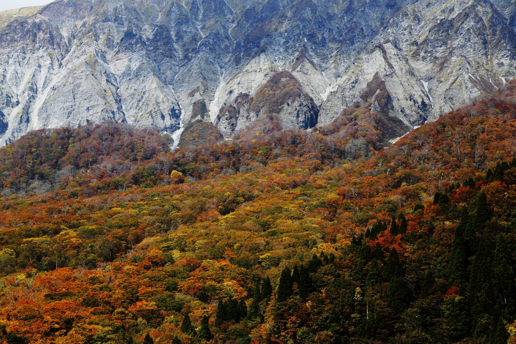 錦秋大山南壁