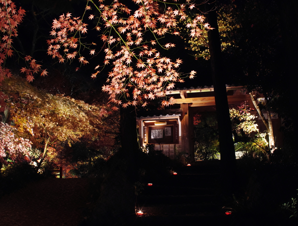 亀岡神蔵寺　