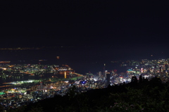 花の摩耶山 掬星台から