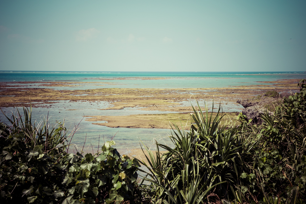 The longest day of Okinawa