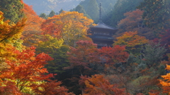 山寺の光と影